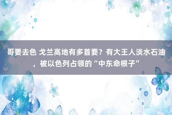 哥要去色 戈兰高地有多首要？有大王人淡水石油，被以色列占领的“中东命根子”