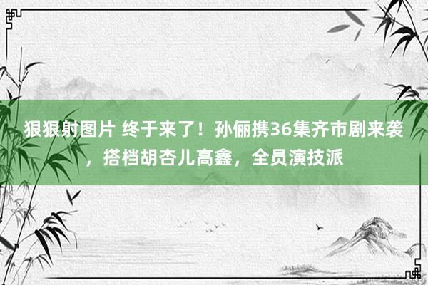 狠狠射图片 终于来了！孙俪携36集齐市剧来袭，搭档胡杏儿高鑫，全员演技派