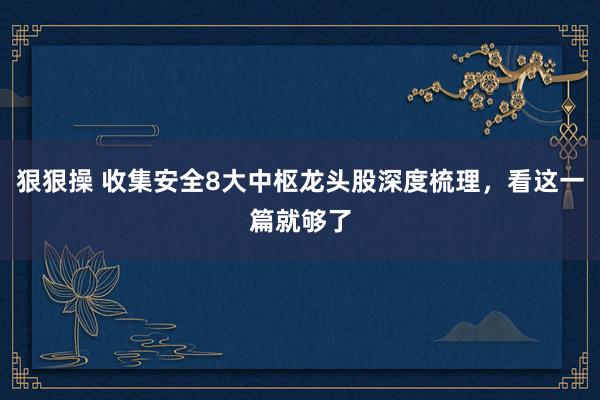 狠狠操 收集安全8大中枢龙头股深度梳理，看这一篇就够了