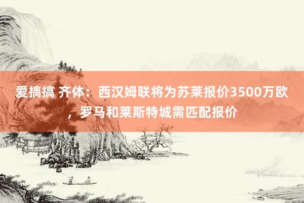 爱搞搞 齐体：西汉姆联将为苏莱报价3500万欧，罗马和莱斯特城需匹配报价