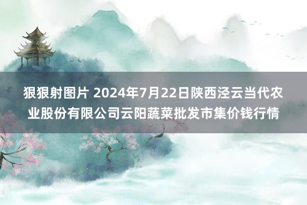 狠狠射图片 2024年7月22日陕西泾云当代农业股份有限公司云阳蔬菜批发市集价钱行情