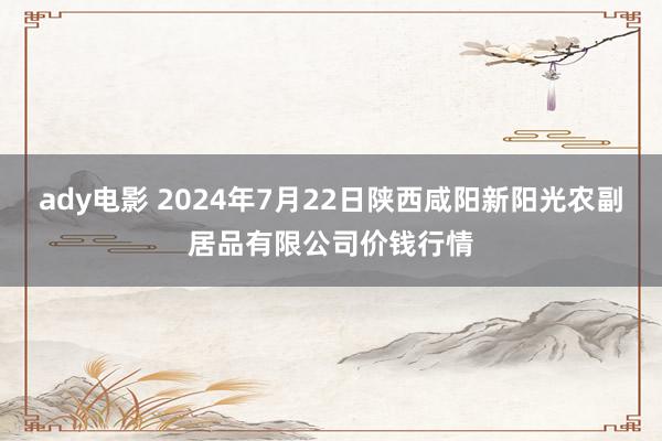 ady电影 2024年7月22日陕西咸阳新阳光农副居品有限公司价钱行情