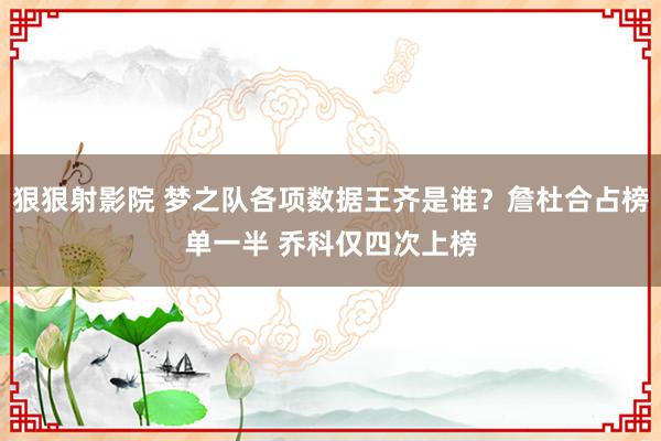 狠狠射影院 梦之队各项数据王齐是谁？詹杜合占榜单一半 乔科仅四次上榜