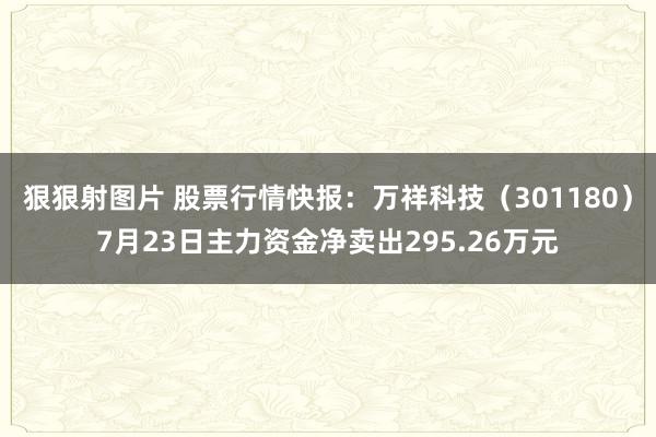 狠狠射图片 股票行情快报：万祥科技（301180）7月23日主力资金净卖出295.26万元