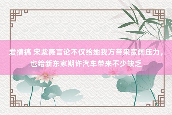 爱搞搞 宋紫薇言论不仅给她我方带来宽阔压力，也给新东家期许汽车带来不少缺乏