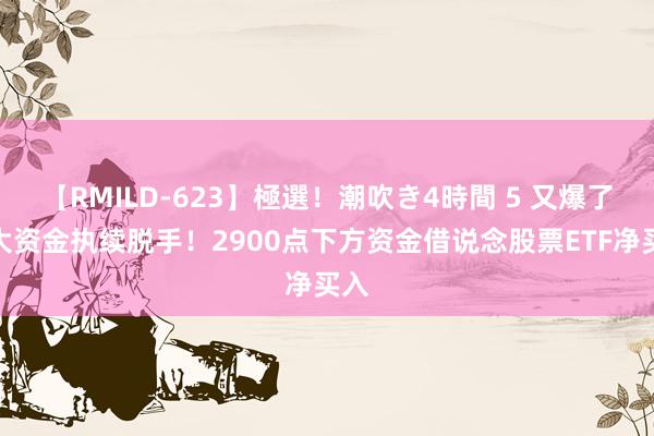 【RMILD-623】極選！潮吹き4時間 5 又爆了！大资金执续脱手！2900点下方资金借说念股票ETF净买入