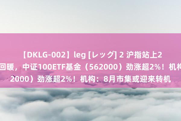 【DKLG-002】leg [レッグ] 2 沪指站上2900点！核心钞票全线回暖，中证100ETF基金（562000）劲涨超2%！机构：8月市集或迎来转机