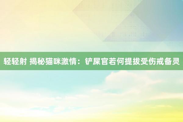 轻轻射 揭秘猫咪激情：铲屎官若何提拔受伤戒备灵