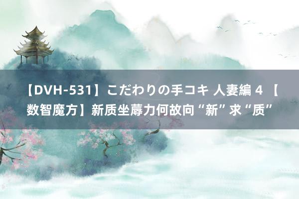 【DVH-531】こだわりの手コキ 人妻編 4 【数智魔方】新质坐蓐力何故向“新”求“质”