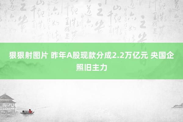 狠狠射图片 昨年A股现款分成2.2万亿元 央国企照旧主力