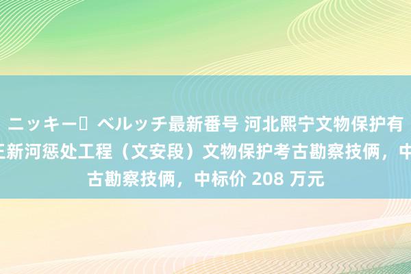 ニッキー・ベルッチ最新番号 河北熙宁文物保护有限公司中标赵王新河惩处工程（文安段）文物保护考古勘察技俩，中标价 208 万元