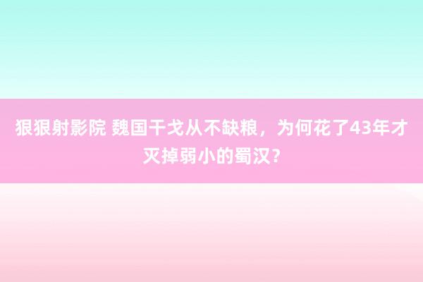 狠狠射影院 魏国干戈从不缺粮，为何花了43年才灭掉弱小的蜀汉？