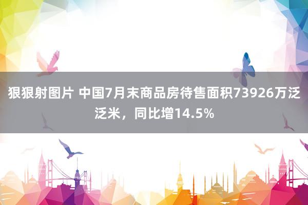 狠狠射图片 中国7月末商品房待售面积73926万泛泛米，同比增14.5%