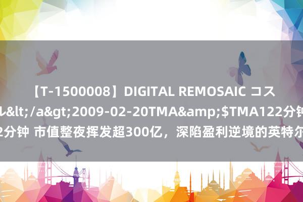 【T-1500008】DIGITAL REMOSAIC コスプレインターナショナル</a>2009-02-20TMA&$TMA122分钟 市值整夜挥发超300亿，深陷盈利逆境的英特尔(INTC.US)靠什么解围？