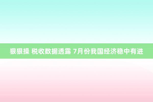 狠狠操 税收数据透露 7月份我国经济稳中有进