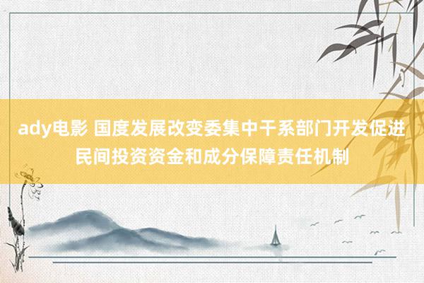 ady电影 国度发展改变委集中干系部门开发促进民间投资资金和成分保障责任机制