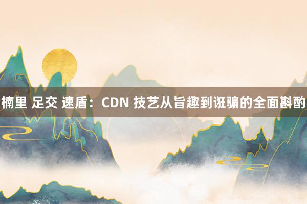 楠里 足交 速盾：CDN 技艺从旨趣到诳骗的全面斟酌