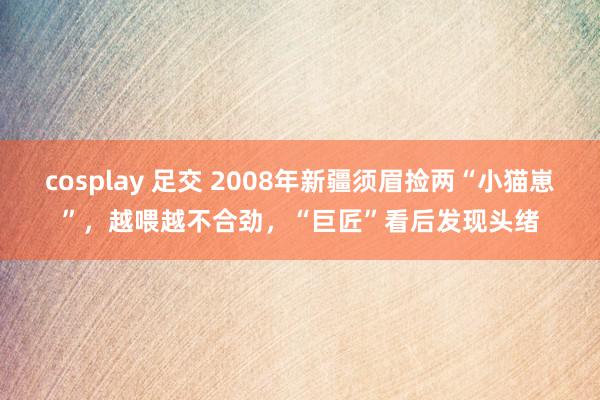 cosplay 足交 2008年新疆须眉捡两“小猫崽”，越喂越不合劲，“巨匠”看后发现头绪