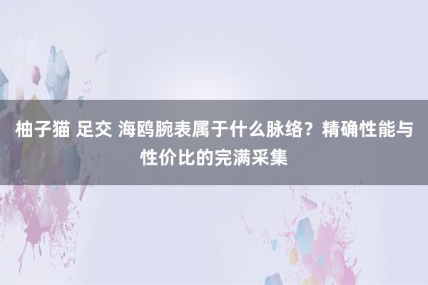 柚子猫 足交 海鸥腕表属于什么脉络？精确性能与性价比的完满采集