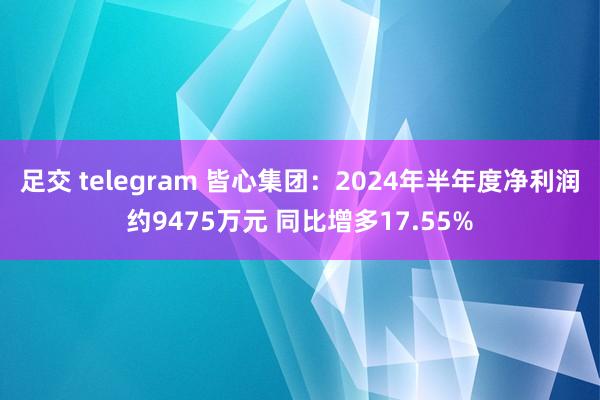 足交 telegram 皆心集团：2024年半年度净利润约9475万元 同比增多17.55%