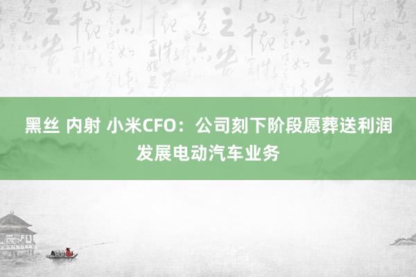 黑丝 内射 小米CFO：公司刻下阶段愿葬送利润发展电动汽车业务