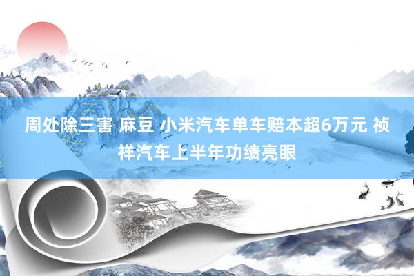 周处除三害 麻豆 小米汽车单车赔本超6万元 祯祥汽车上半年功绩亮眼